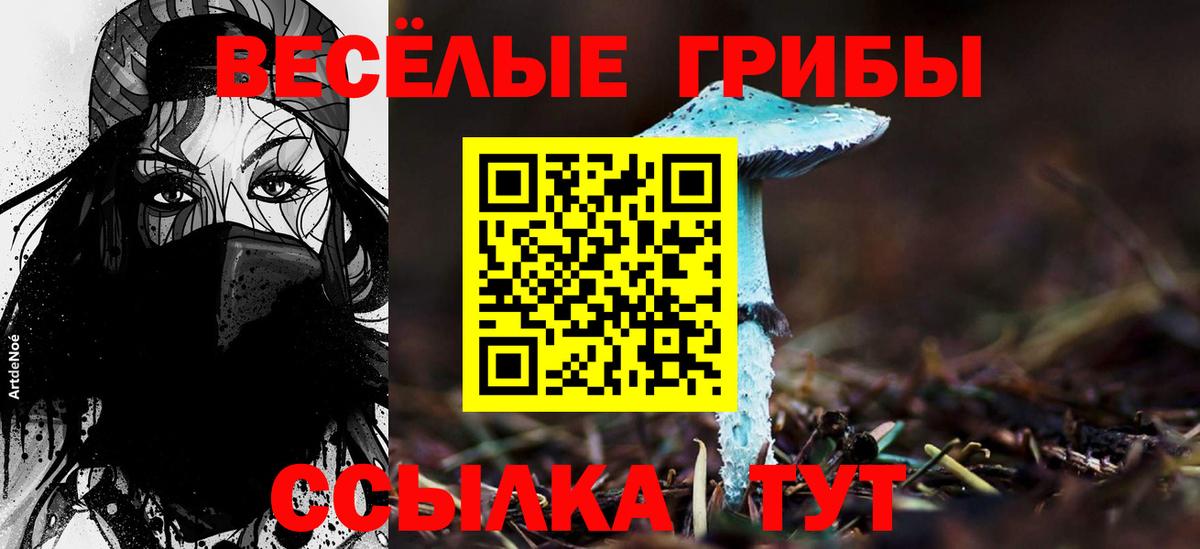 Бугуруслан  Псилоцибиновые грибы ЛСД  Вход с VPN 